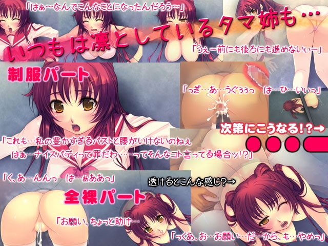 壁のタマ犯りませんか? -タマ姉たまんね-