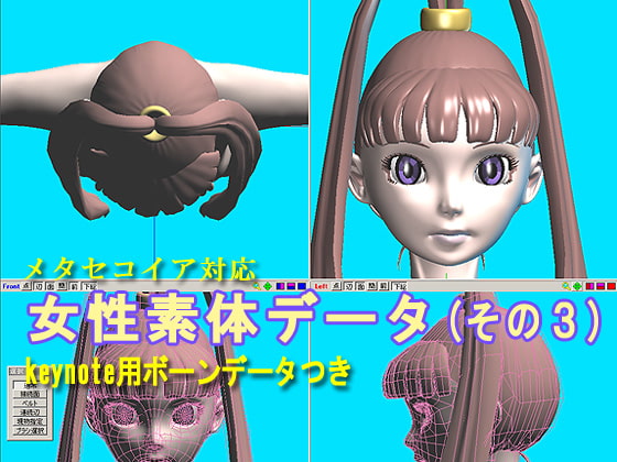 Metasequoia対応女性素体データ(その3)