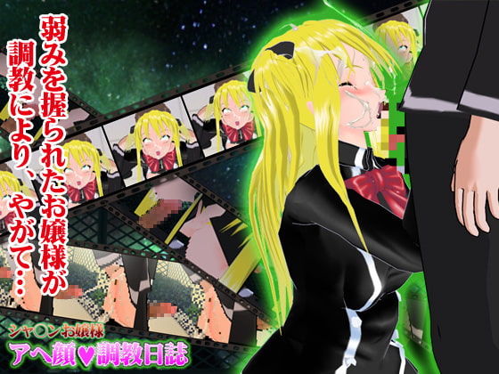 シャ○ンお嬢様アヘ顔調教日誌