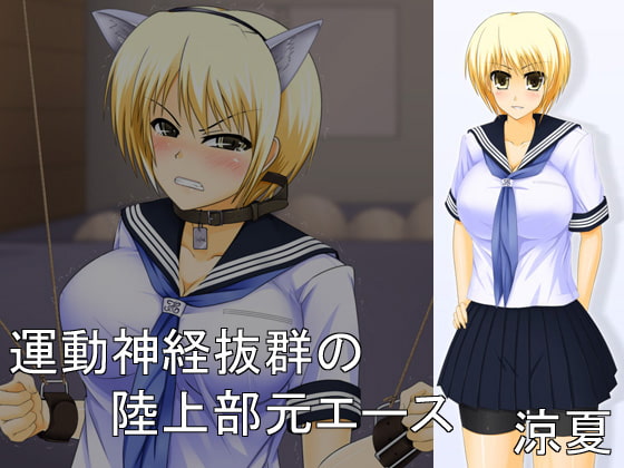 セーラー服着衣陵辱～狙われた二人～