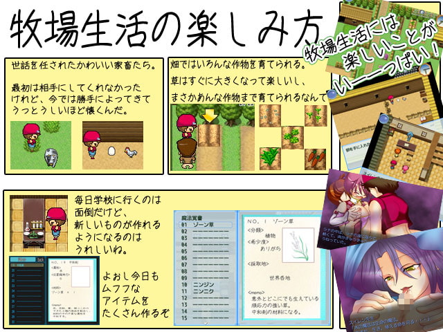 魔女先生と島の学校