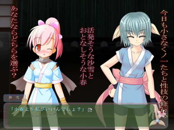 くノ一の奪い方 外伝～里を継ぐ者～