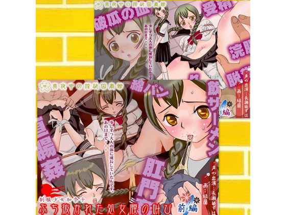 【真夜中の淫欲図書館総集編(5)】ウブなセーラー服娘に大人の性欲を教え、赤ちゃんを身ごもらす世界!