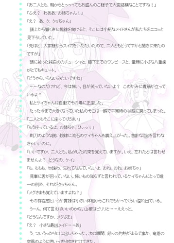 めいどさん・うぃず・らぶ♪～えっちな魔法使いは嫌いですか?