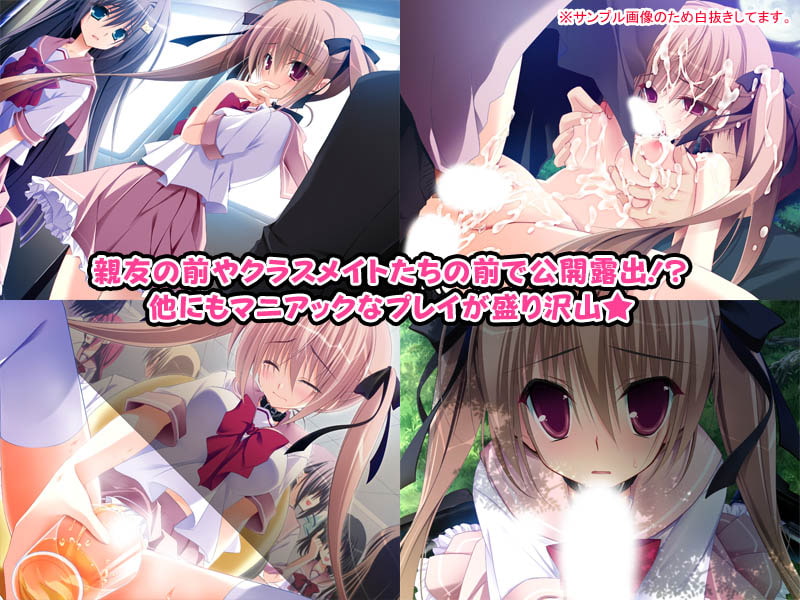 妹調教日記～こんなツンデレが俺の妹なわけない!～