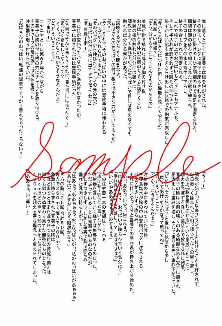 奪われた少女セット