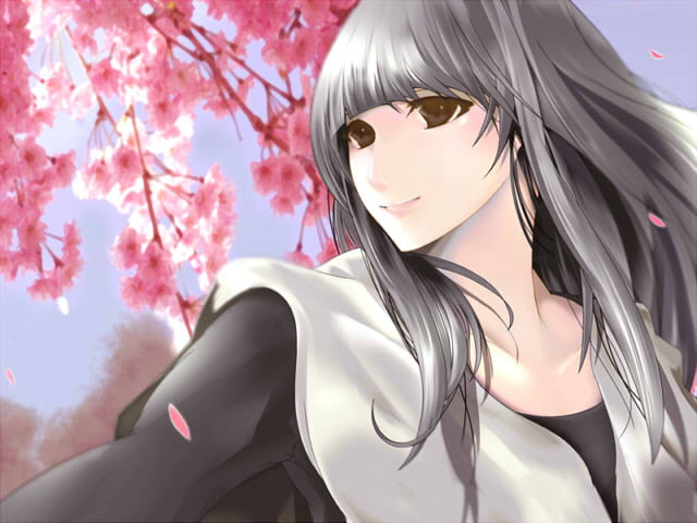 AkashicRecords～櫻の戦箱～