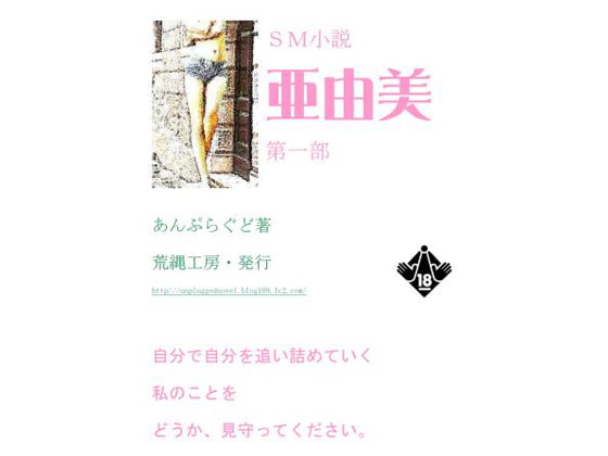 小説『亜由美』第一部
