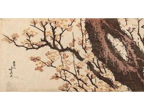 著作権フリーBGM集 vol.23 エスニック風BGMパック30曲+おまけ