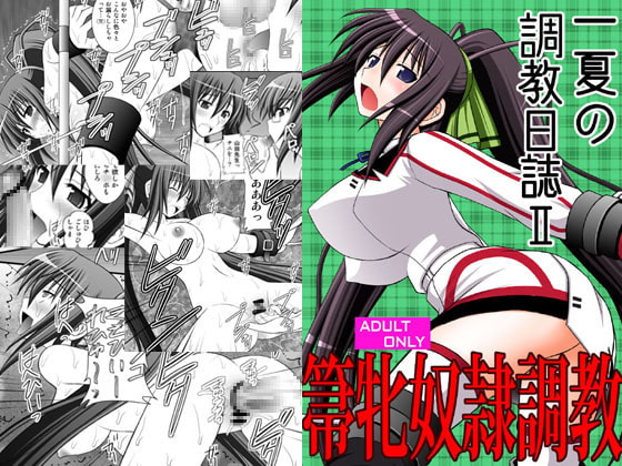 一夏の調教日誌II