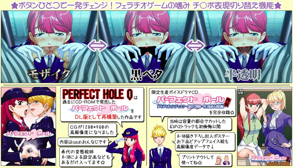 パーフェクトホールQ