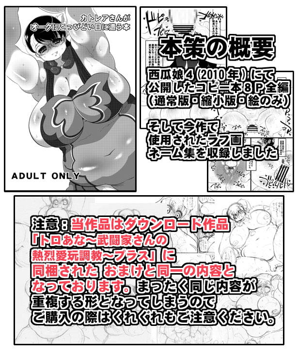 カトレアさんがオークにこっぴどい目に遭う本プラス