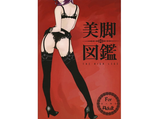 美脚図鑑