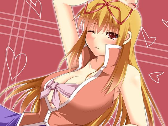 姉、ちゃんと東方しようよっ!