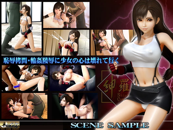 格闘少女 砕かれる心の鍵