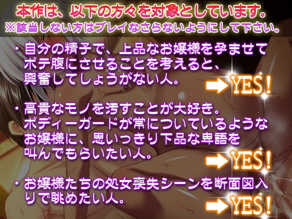 高貴なお嬢様を片っ端から孕ませたら、どうなるか?