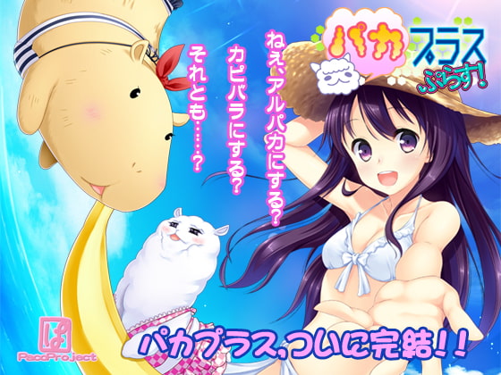 パカプラスプラス