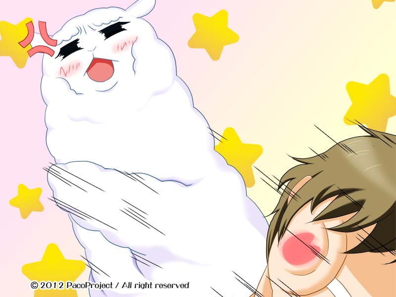 パカプラスプラス