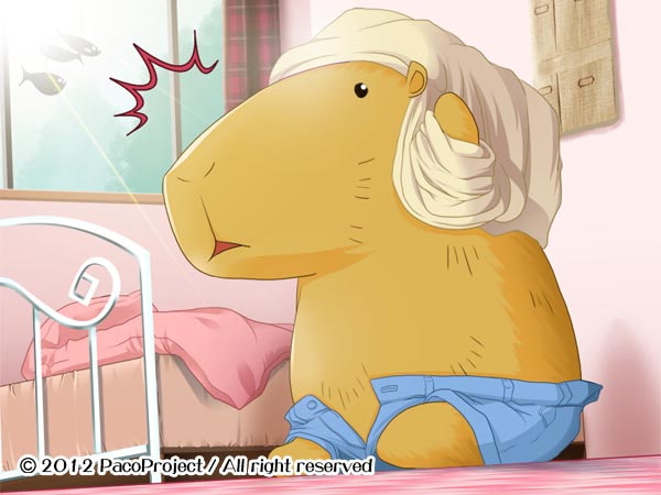 パカプラスプラス