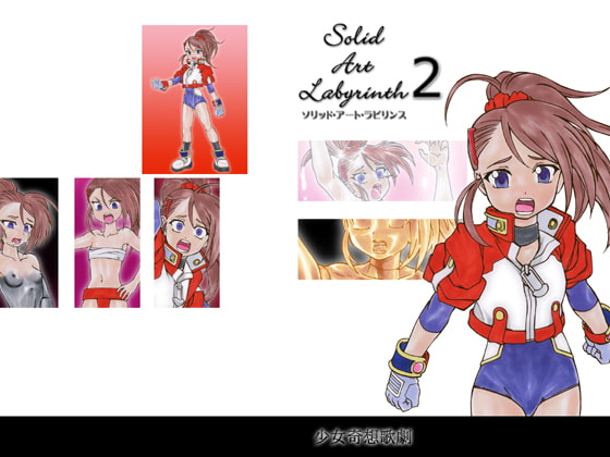 Solid Art Labyrinth 2