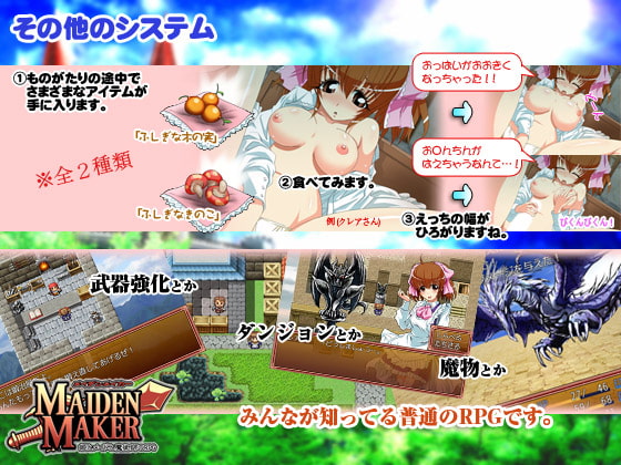 メイデンメイカー ～姫とメイドと魔術師のRPG～