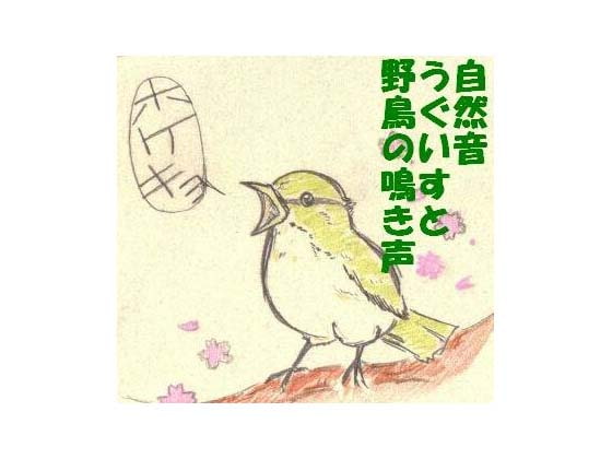 自然音 うぐいすと野鳥の鳴き声