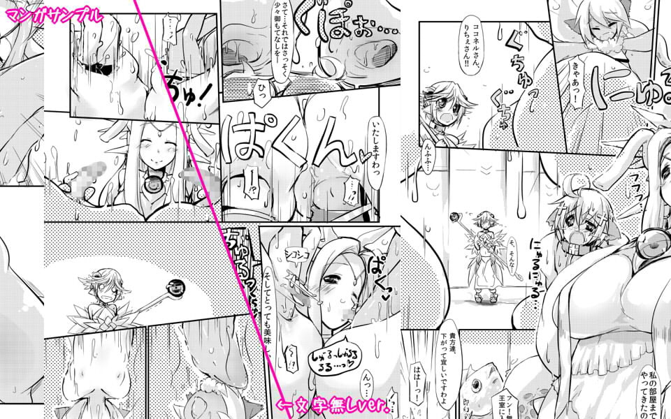 SoftPrincces extend(データ版)