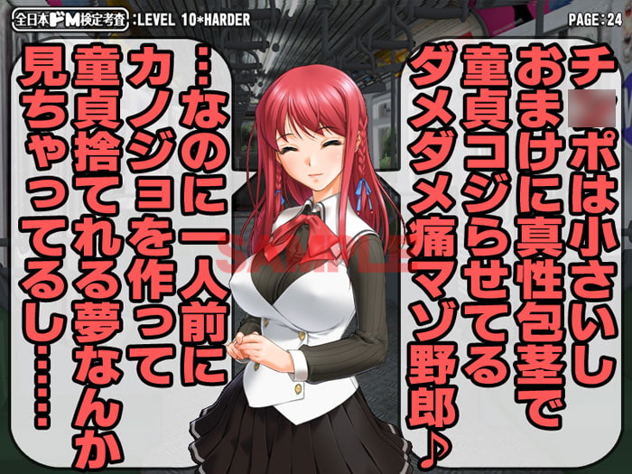 全日本ドM検定考査: レベル10*HARDER ～キミの心に、二度と消えない傷をあげるね～