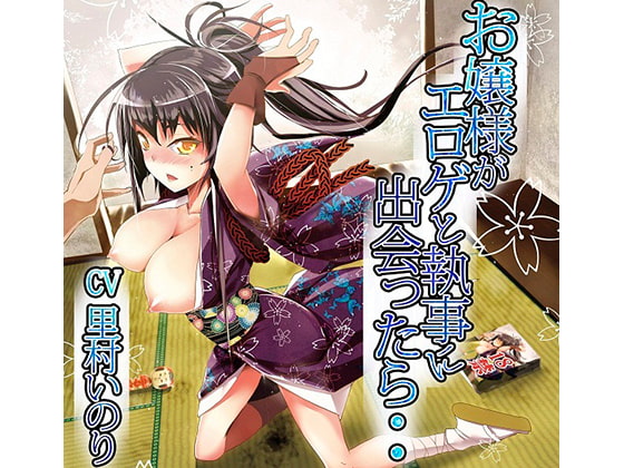 お嬢さまがエロゲと執事に出会ったら