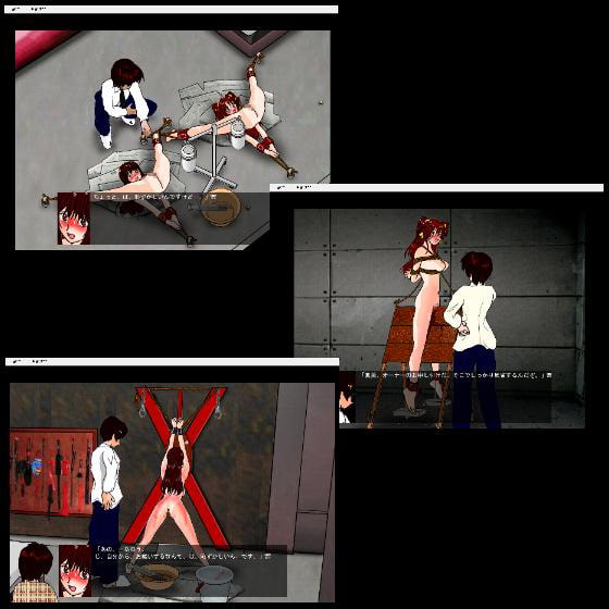 メス犬2匹の調教競技会