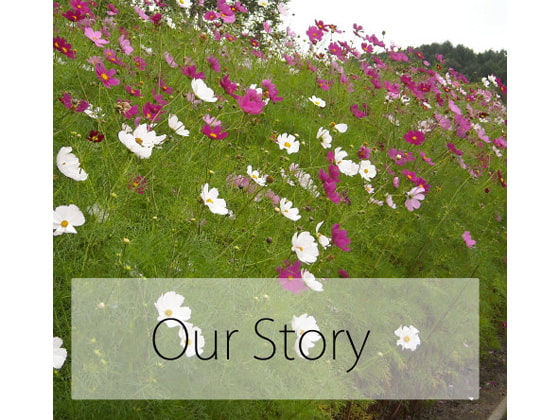 Our Story