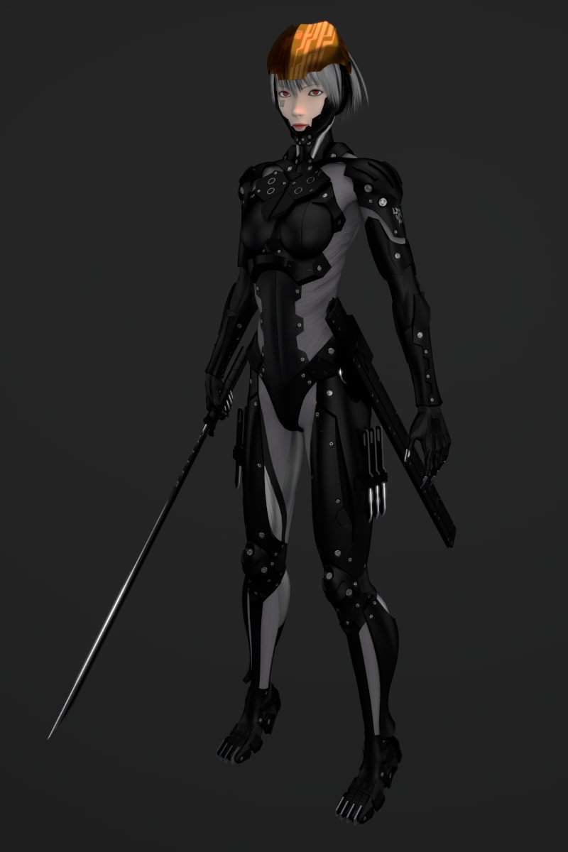 サイボーグニンジャ(PAD) ソースデータ