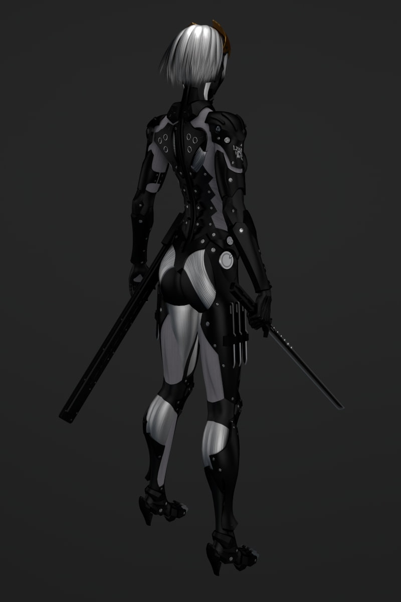 サイボーグニンジャ(PAD) ソースデータ