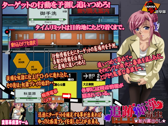 追跡痴漢 胎内露出OL