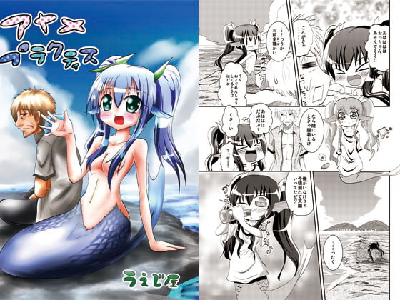 アヤメプラクティス
