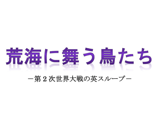 荒海に舞う鳥たち 第2次世界大戦の英スループ