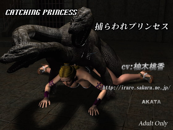 Catching Princess