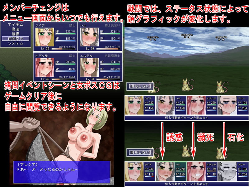 森の王国の女騎士達