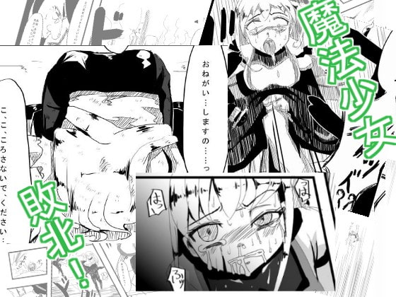 魔法少女、堕としました。 -凌辱編-