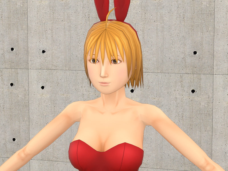 オリジナルデザイン 女の子キャラクター 3Dモデリングデータ バニーガール リアル