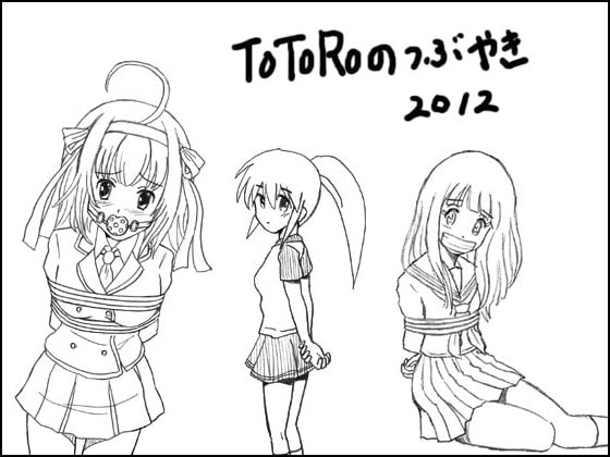TOTOROのつぶやき2012