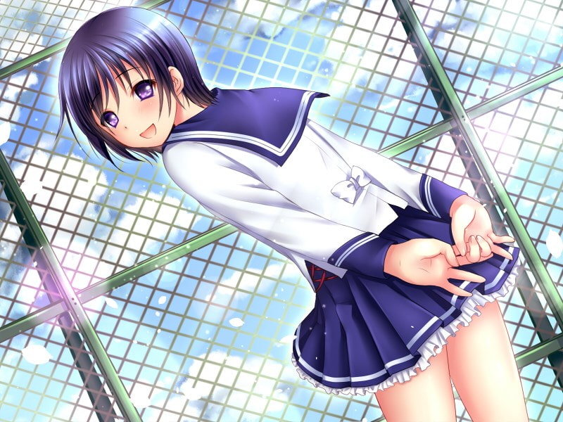 せっくす☆ふれんど