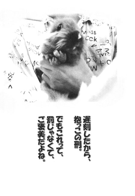 うさぎ課