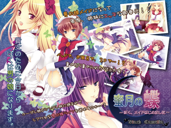 蜜月の蝶～ぼく、メイドはじめました～