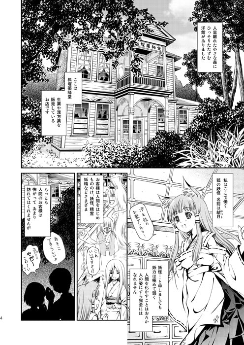 薬師堂の狐巫女