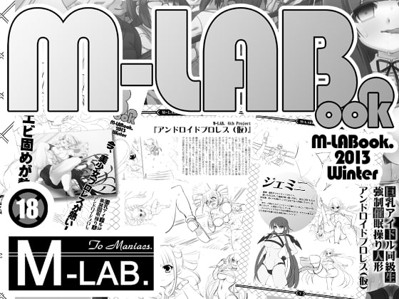M-LABook.2013Winter DL版