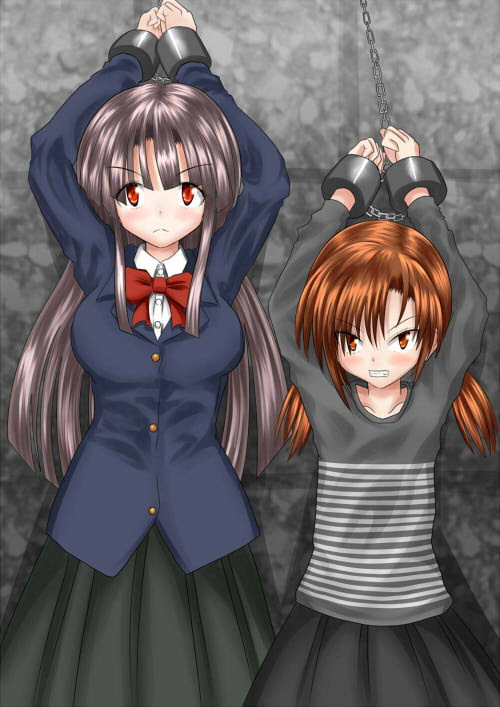 姉妹調教記録