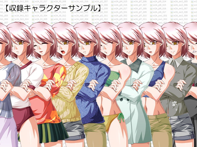 立ち絵素材集 Vol.15姉貴系ヒロイン編