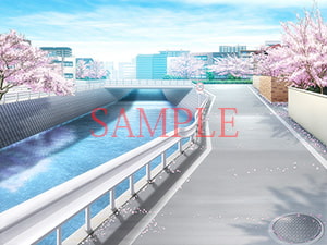 著作権フリー背景CG素材「桜のある道」