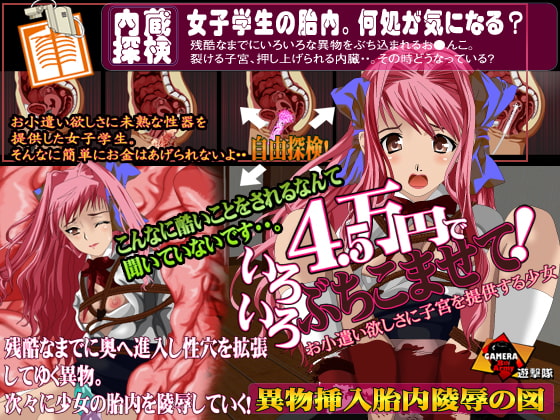 4.5万円でいろいろぶちこませて!